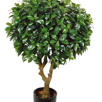Artificial ficus hot selling banyan tree Manufacturer supply figs bonsai