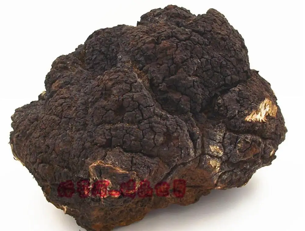 Оптовая продажа чай из грибов Чаги сибирской Сибири для продажи