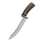 Amazon collects mirrored wood handled hunting knives for field trips