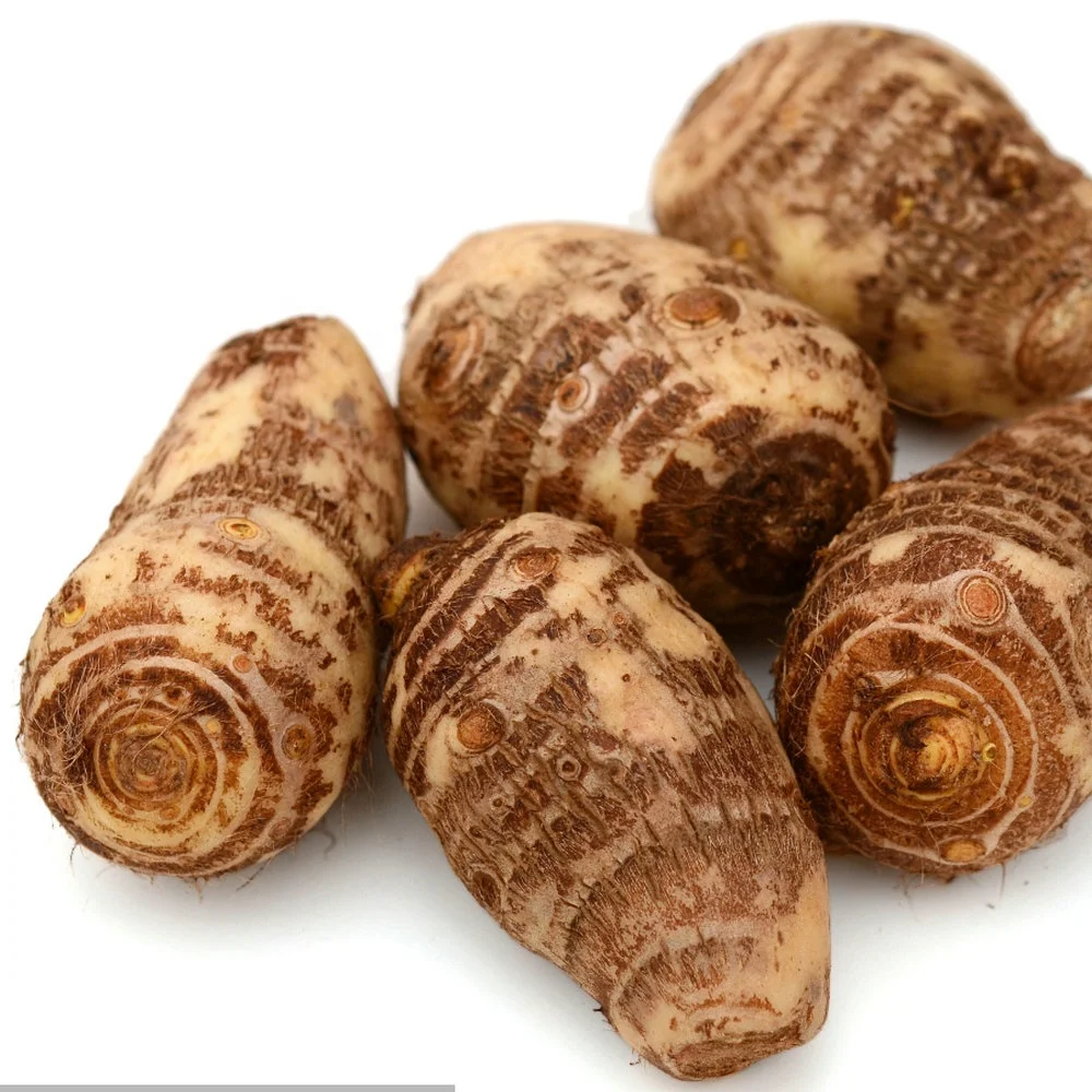 中国山东芋头/芋头种子,出口欧美,东南亚和日本 - buy fresh taro