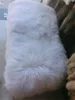 Bleached white