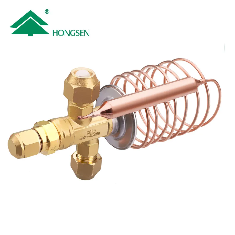 Hongsen Erf Thermostatic Expansion Valve For Refrigeration R22 R407c ...