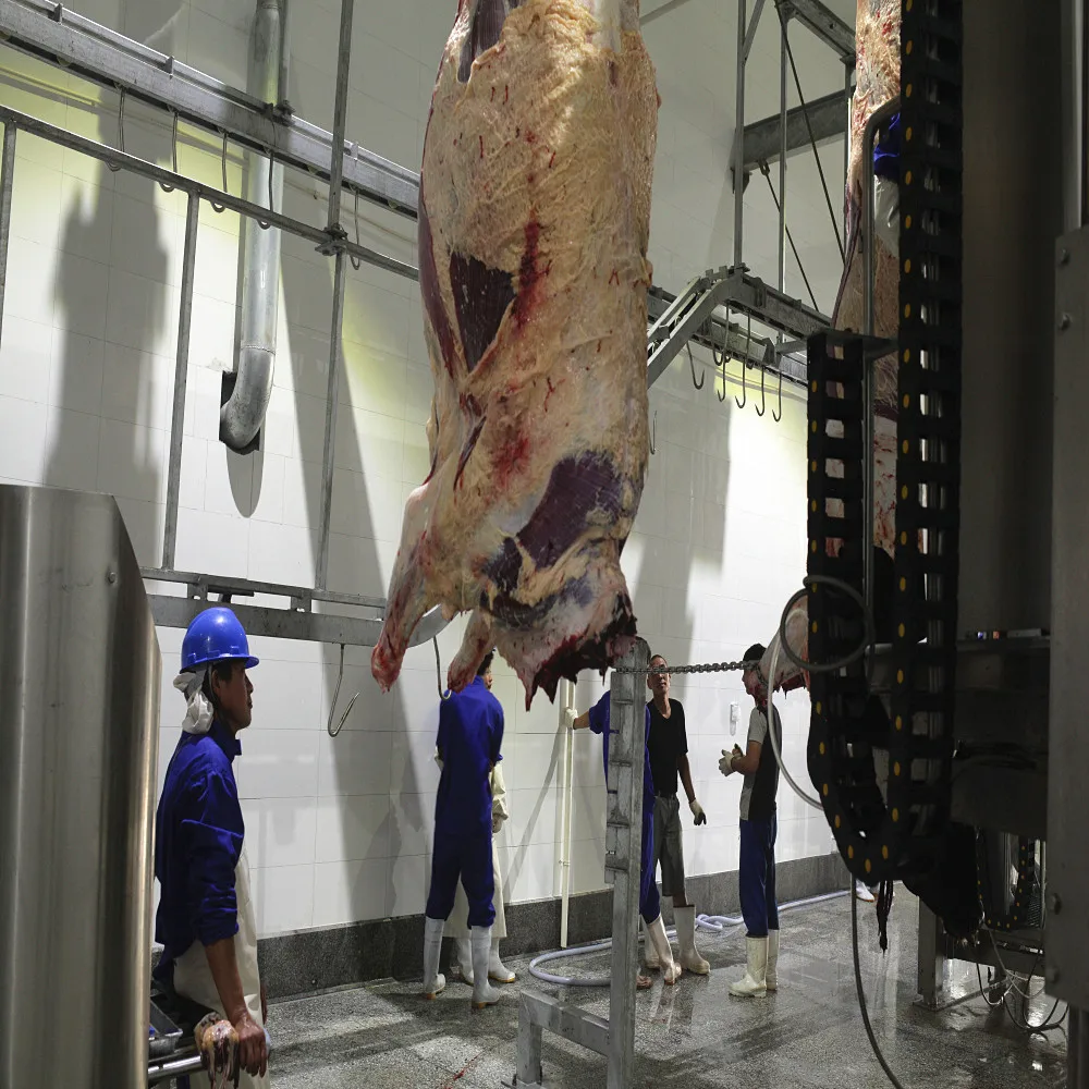 Cattle Slaughter Line Slaughterhouse/Goat Sheep Buffalo Abattoir Equipment