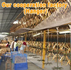 Guangxi Fusui Huayunuo Trading Co., Ltd. 3
