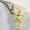 GH5 3 fork