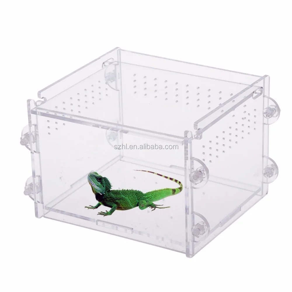 reptile transport box