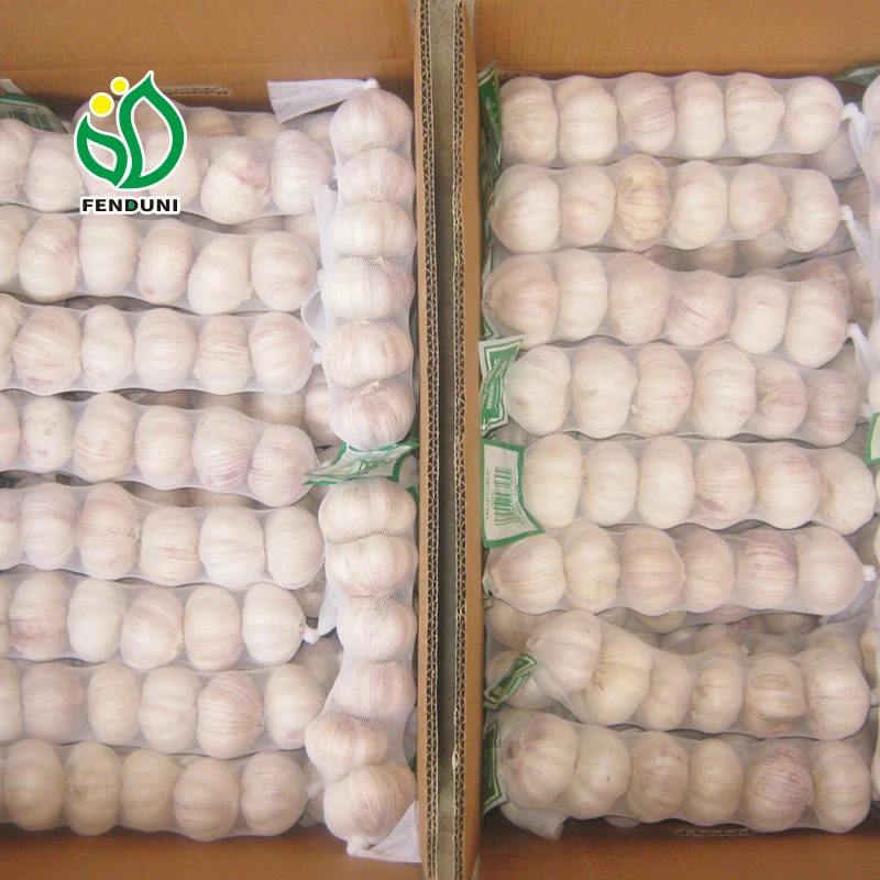 Spanish Red Garlic - New Season!!!