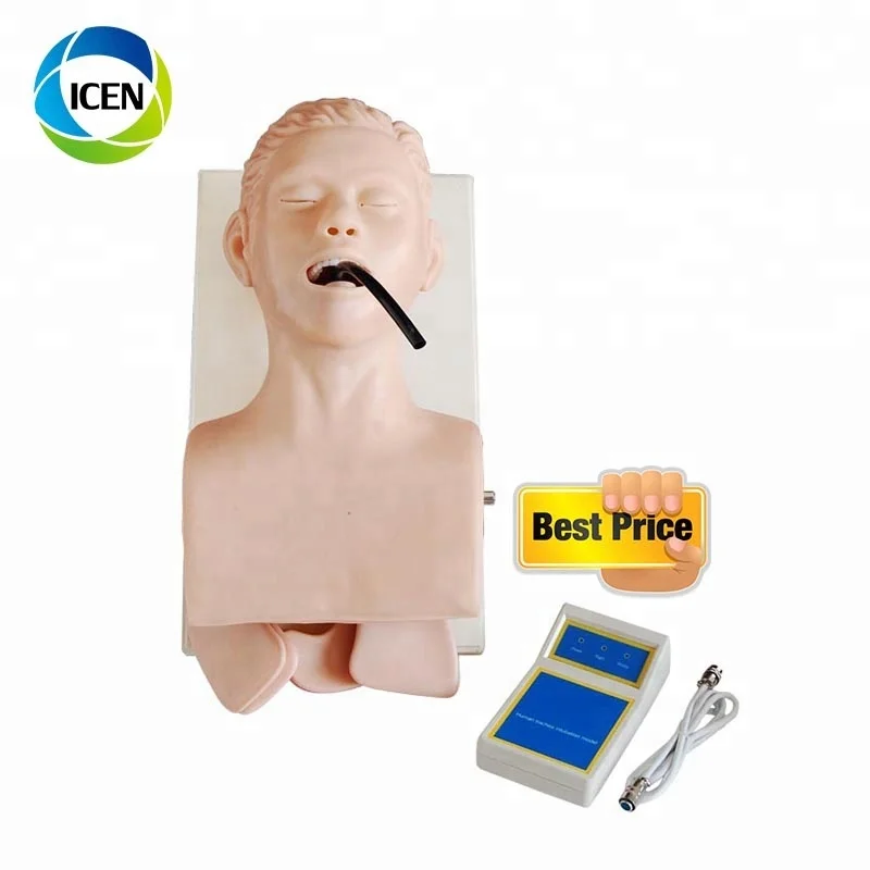 IN-406medical преподавания тренировки интубации модель человека интубации трахеи Манекен Модель новорожденных дыхательные пути интубации