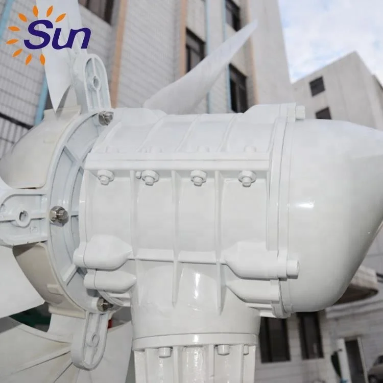 1Kw Windmill Mini Power Wind Turbine 1Kw Generator