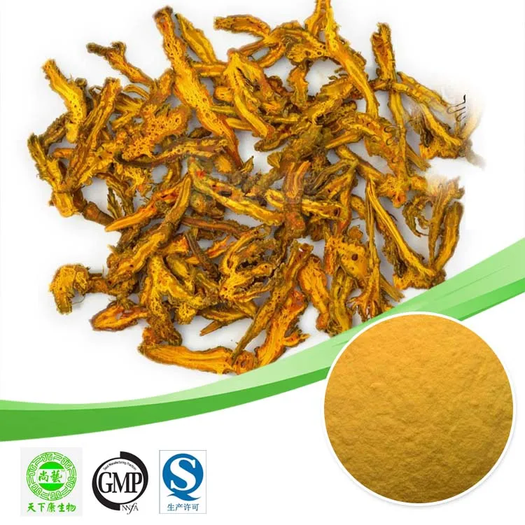 Coptis Extract Berberine 98 Chinese Goldthread Rhizome Extract 98 Berberine Hydrochloride Buy Chinese Goldthread Rhizome Extract Berberine Hydrochloride Berberine Product On Alibaba Com
