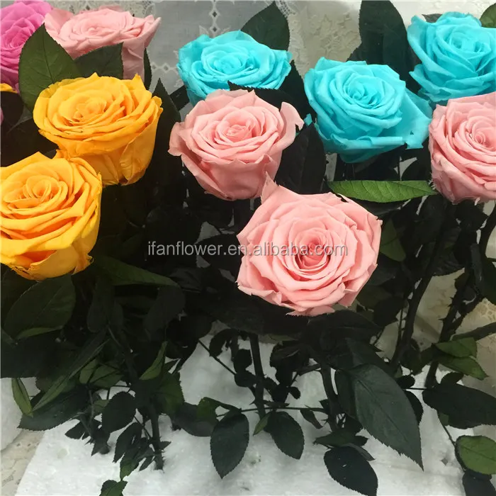 Japan Rose Real Eternal Rose Diy Preserved Rose Flower With Stems Buy Preserved Roses,Eternal