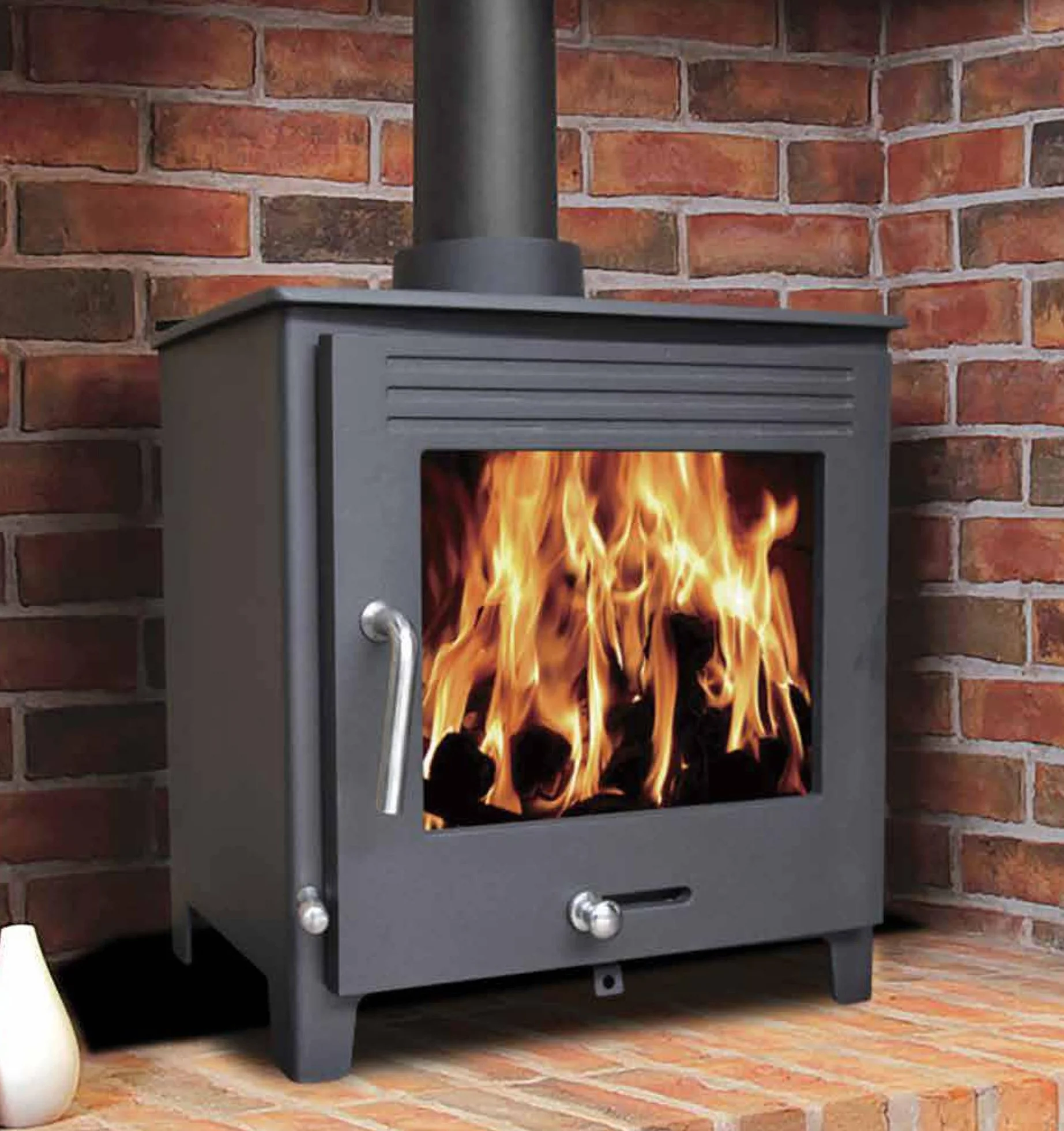 multi fuel burning stove