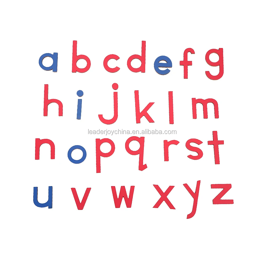 Montessori Language Learning Materials for Spanish Print Moveable Alphabet With Box