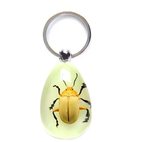 Real Red Leg Scarab Beetle Insect Bugs Resin Specimen Waterdrop Keychain Various Choice Premium Gift