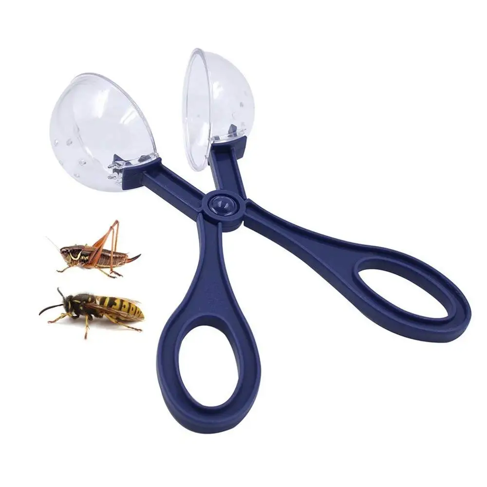 Bugs and humans. Bugs and humans