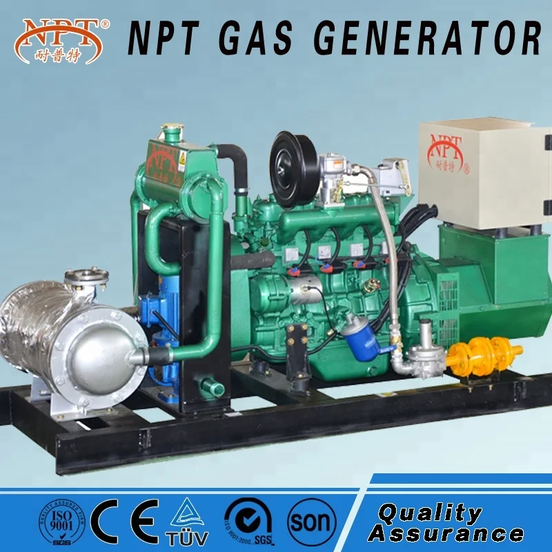 Customized CE Approved 25KW Generator Biogas for Electricity