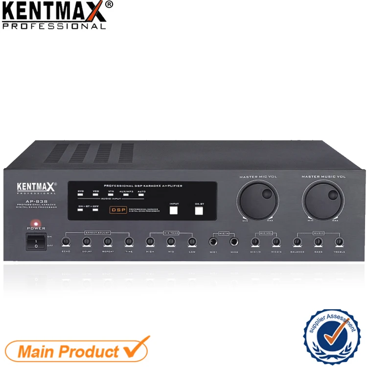 Professional Amplifier Power Karaoke Home Subwoofer Theatre Mini Tube