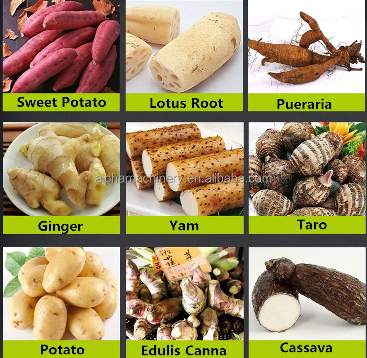 Complete Processing Cassava Grater Yam Grating Machine Machines De Transformation Du Manioc