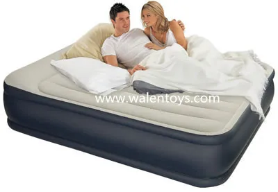 intex raised downy airbed