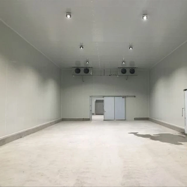 
 Небольшая морозильная камера, холодильная камера, морозильная камера для цыплят  