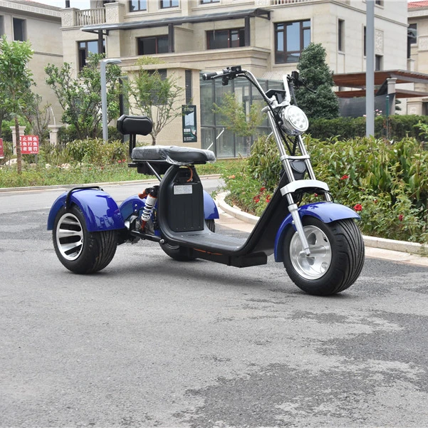 citycoco trike