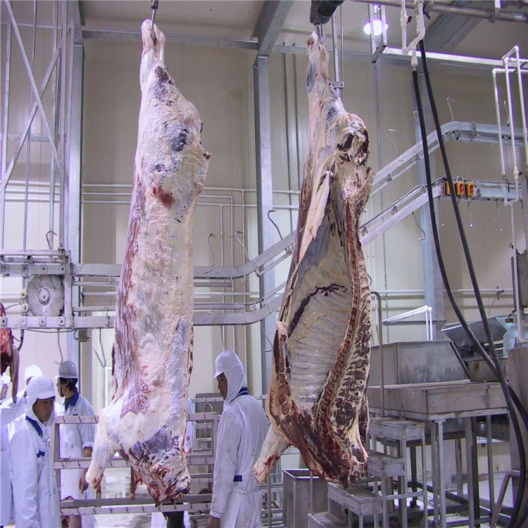 Cattle slaughtering equipment half carcass splitting saw cattle processing machine