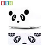 Panda-Multicolore
