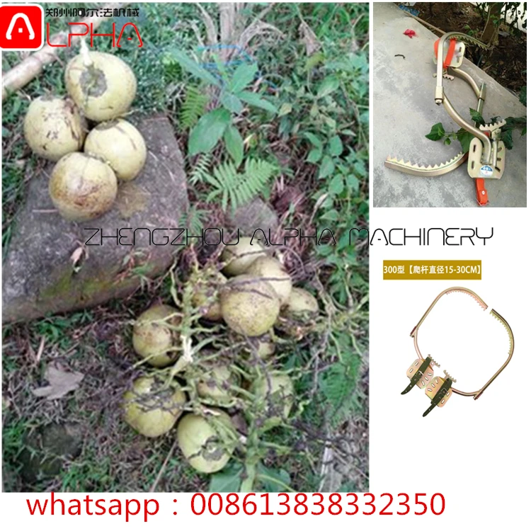 Coconut Tree Climbing Machine Coconut Tree Climbing Device for Sale China