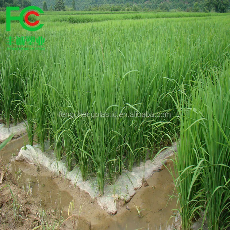 Factory Supply Plastic Mulch Layer for Plant ,agricultural Plastic Mulching Sheet,mulch Silver / Black for Sale Hot