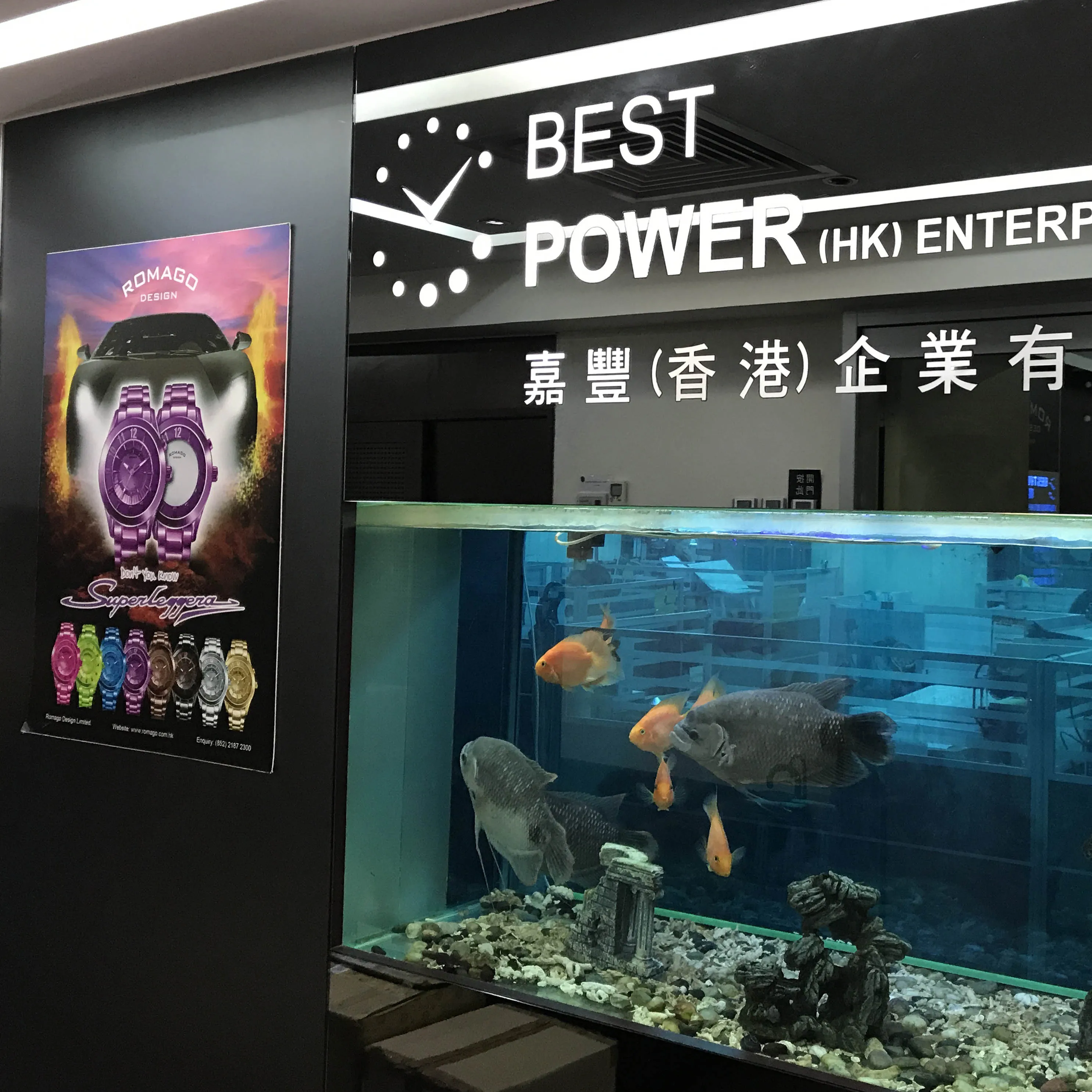 BEST POWER (HK) ENTERPRISES LIMITED 3