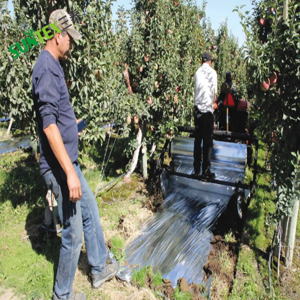 Solar Reflective Orchard Film High Reflective Plastic Agricultural Film Aluminum Laminated PE Reflective Film on Apple Crop