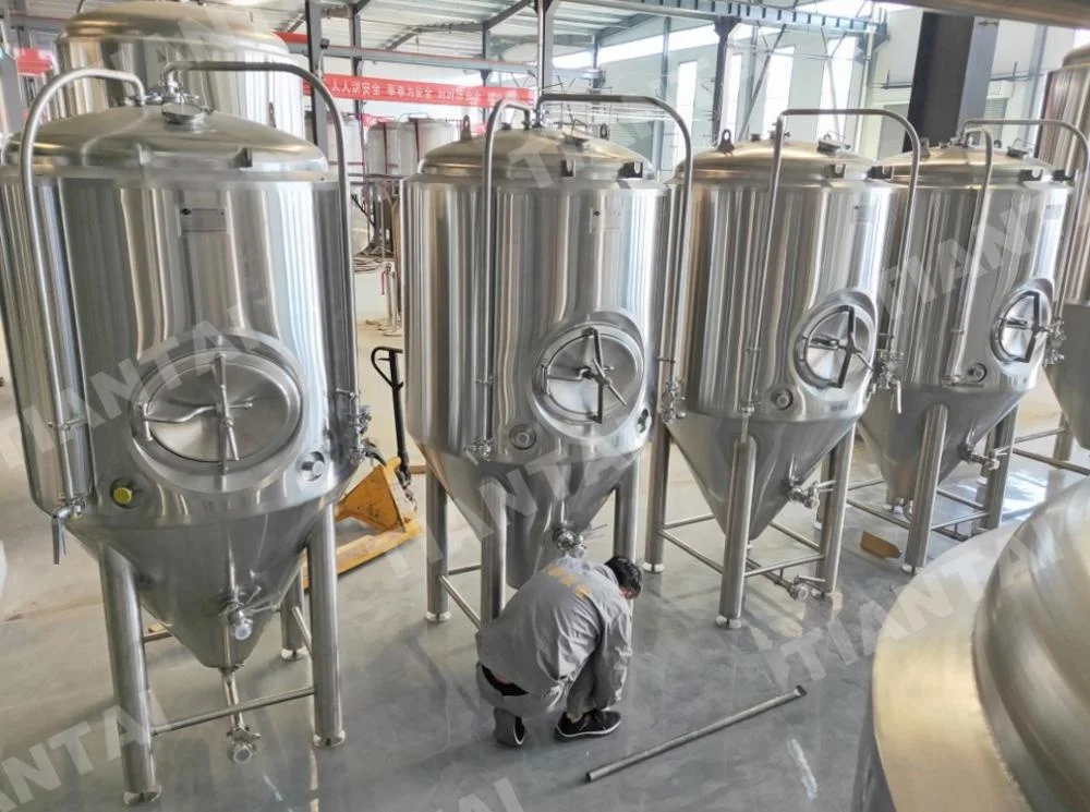 craft beer making plant cost