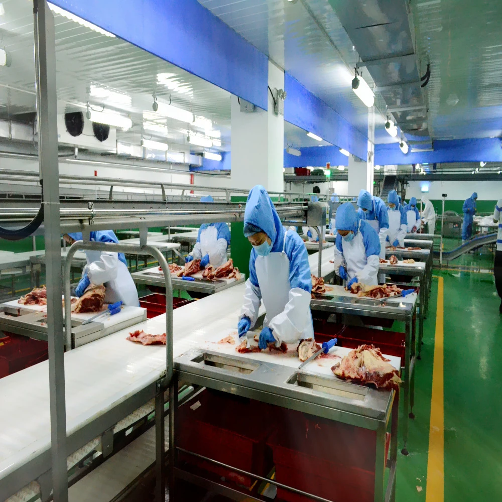 Chicken thawing chamber for defrosting machine frozen meat microwave thawing machine equipment