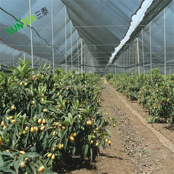 Agriculture HDPE plastic Mesh Apple Tree Anti HailNet,anti bee net