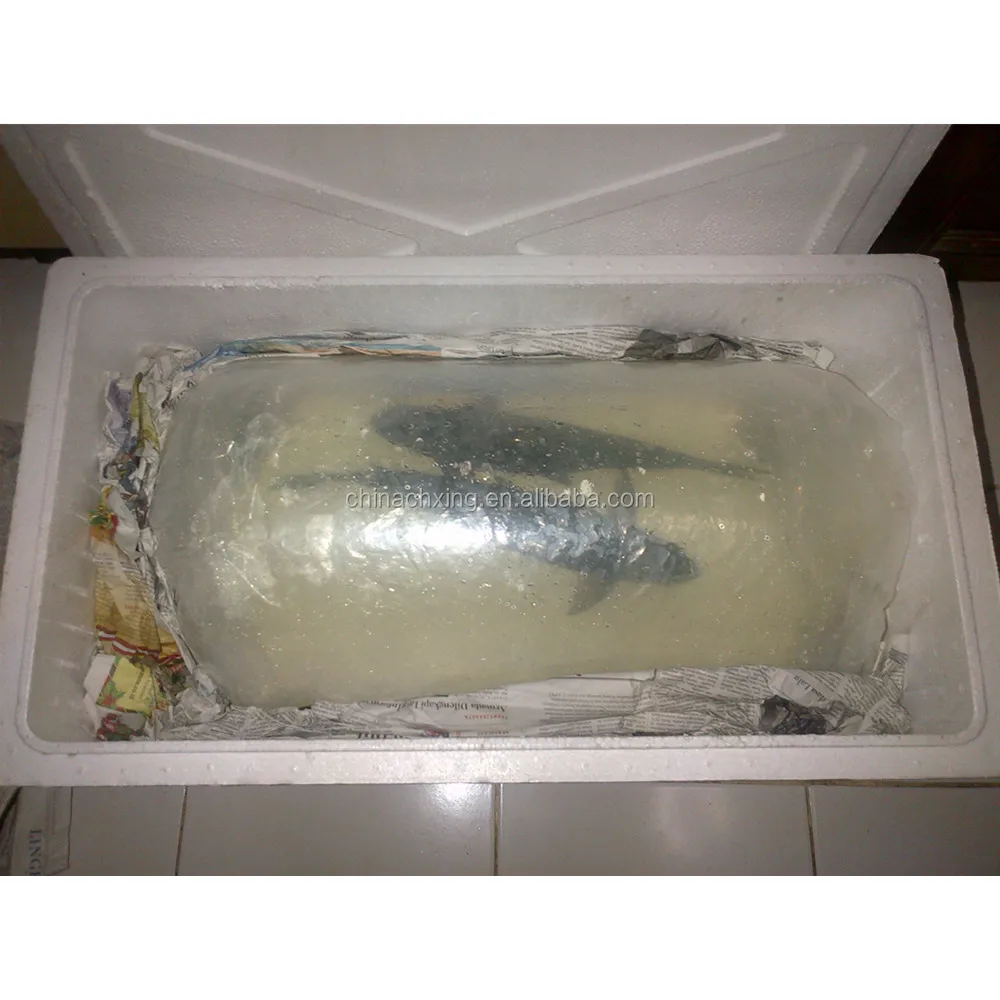 Styrofoam Fish Box 25LB Capacity