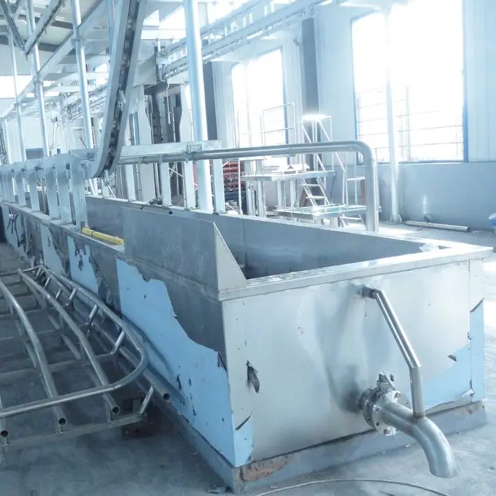 Pig Abattoir slaughter line pig scales slaughter pig