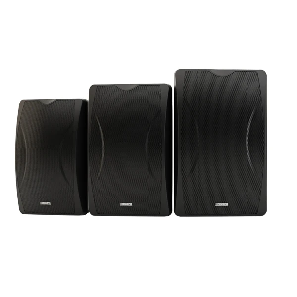 Dsppa Wall Mountable Pc Speakers DSPPA 40W Hotel Wall Mounted