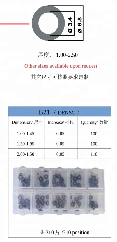 Common Rail Adjusting Shim B21 Adjusting Shim B21 and Common Rail Injector Repair Gasket B21