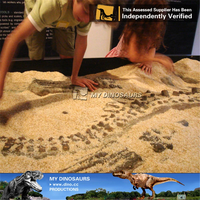 Dinosaur Fossil Kit de Escavacao de Fosseis de Dinossauros para Criancas