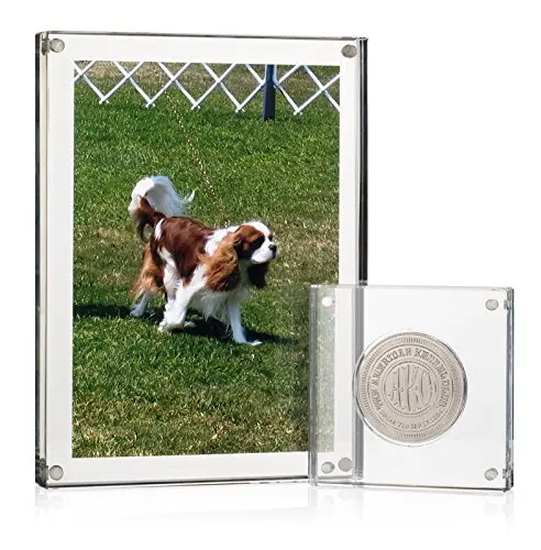 Custom Magnetic Clear Coin Display Frame Acrylic Plastic Coin Medal Display Holder Case Perfect Protection for Poker Chip