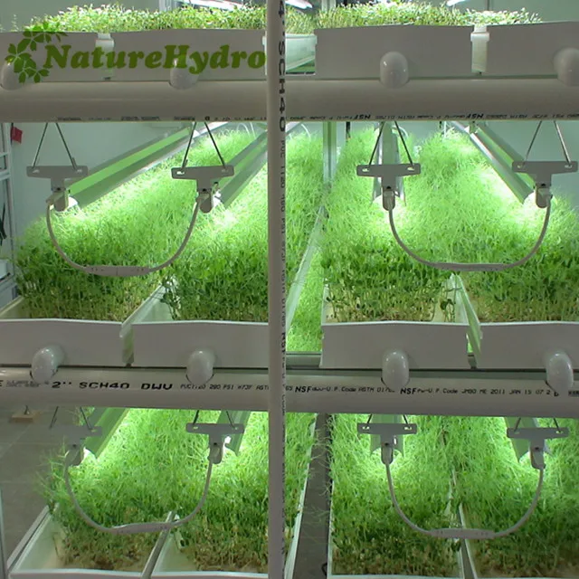 Plastic Fodder System Troughs Automated Hydroponic System in Pvc Channels