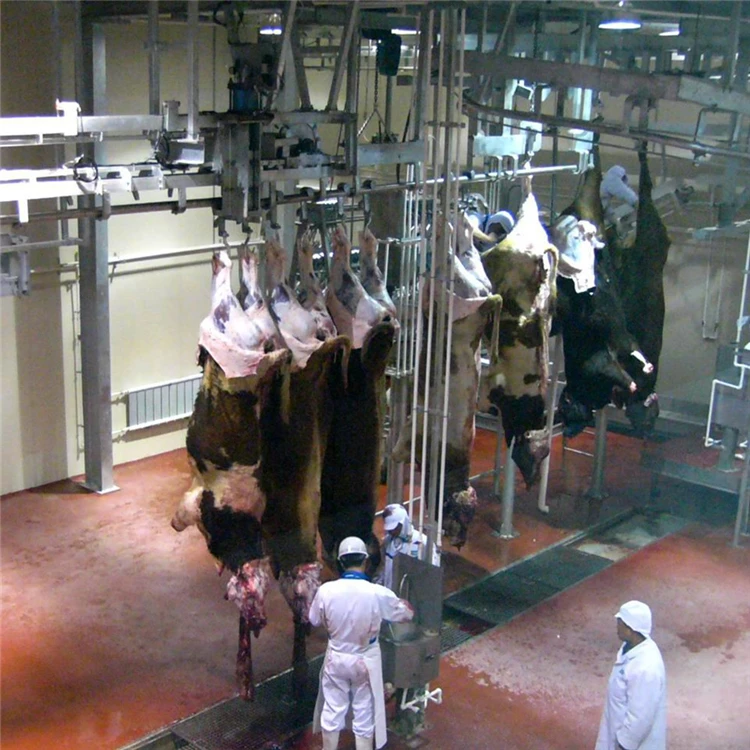 Islamic camel slaughterhouse and meat processing slaughterhouse machine