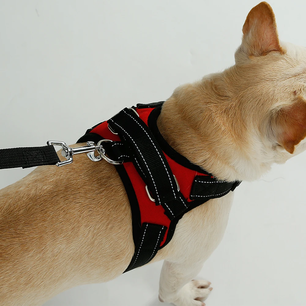 anti pull dog collar