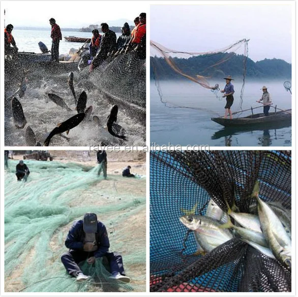 Fish seine for sale Clearance