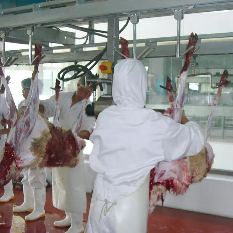 Slaughterhouse European style hidden stainless steel sheep skin pulling machine