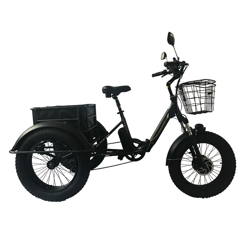 tricycle electric bicycle