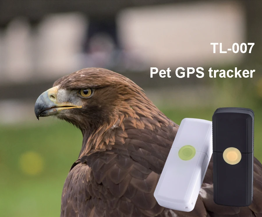 Smallest Gps tracker for Pigeon Birds with Gsm Alarm Pet Gps Tracking Device Waterproof IP67
