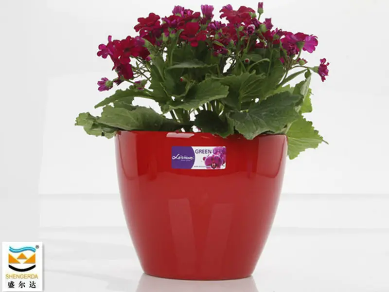 Pequenas Mini-barata Colorido Vaso De Flores Vermelhas& Gh-0812 - Buy  Plástico Colorido Vasos De Plantas& Decorativa Interior Pote Plástico  Vegetal Product on Alibaba.com