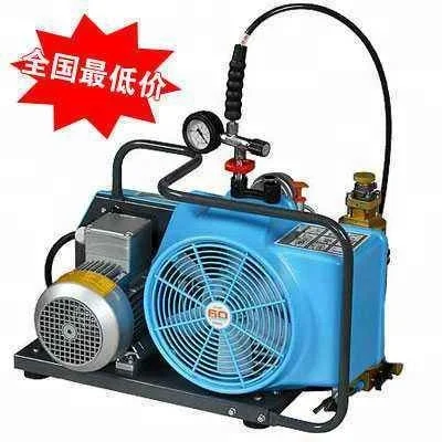 Lyv100b 300barg 100l Min 220v 230v 2 2kw Mini 300bar Portable Scuba Dive Breathing Air Compressor For Diving Buy Mini 300bar Portable Scuba Dive Breathing Air Compressor For Diving Motor Drive Natural Gas