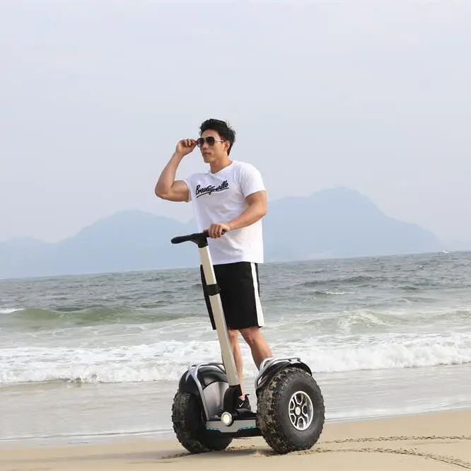 Angelol Новый 40-80 км дальность 19 дюймов с толстыми покрышками Электрический колесница покрыта скутер патруль скутер tiktok патруль скутер сделаны в Китае